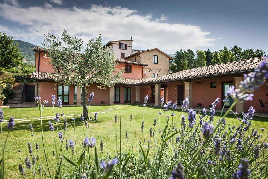 Penzion Country House Poggio Fiorito Assisi Exteriér fotografie