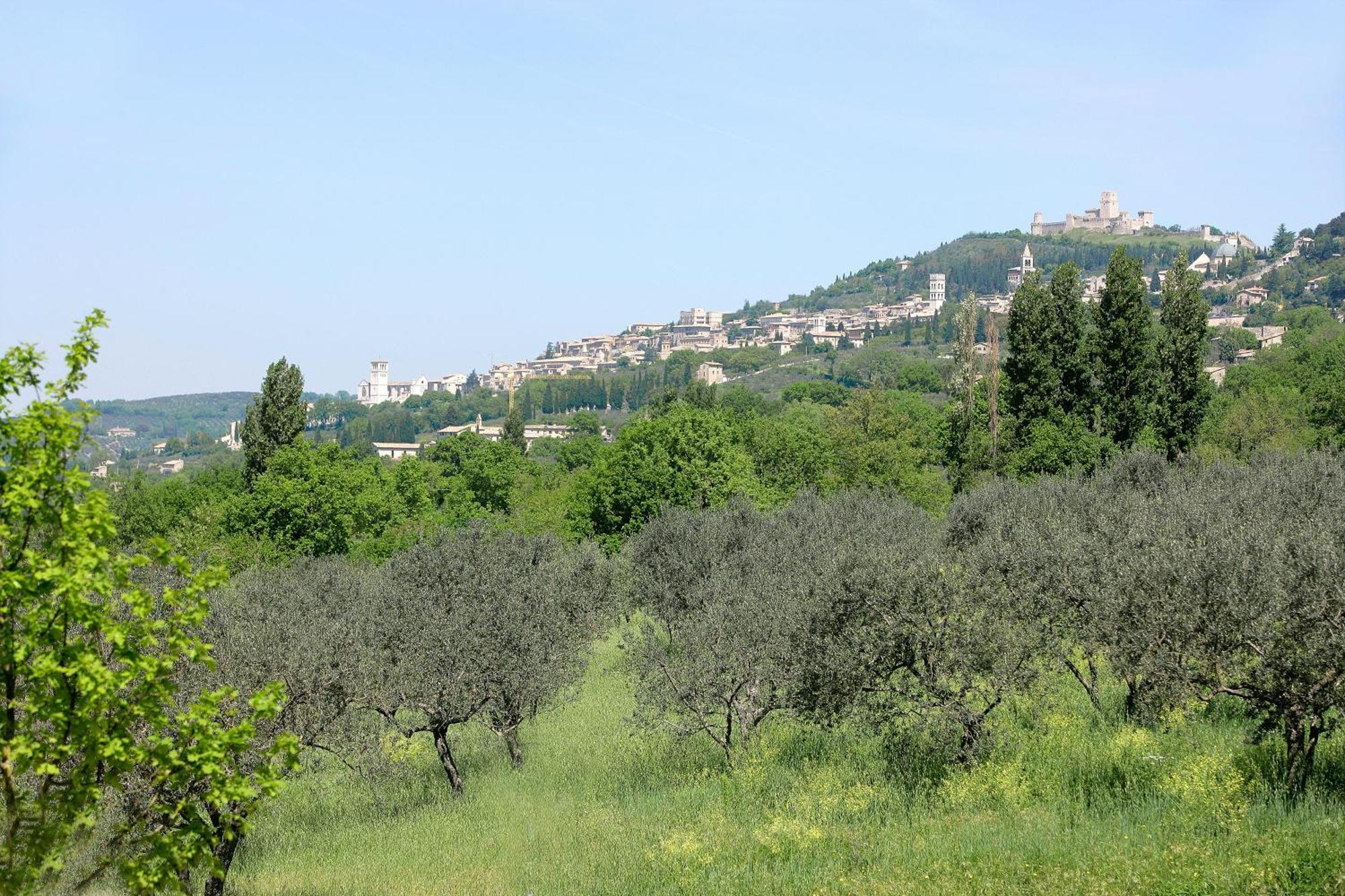 Country House Poggio Fiorito Assisi Exteriér fotografie